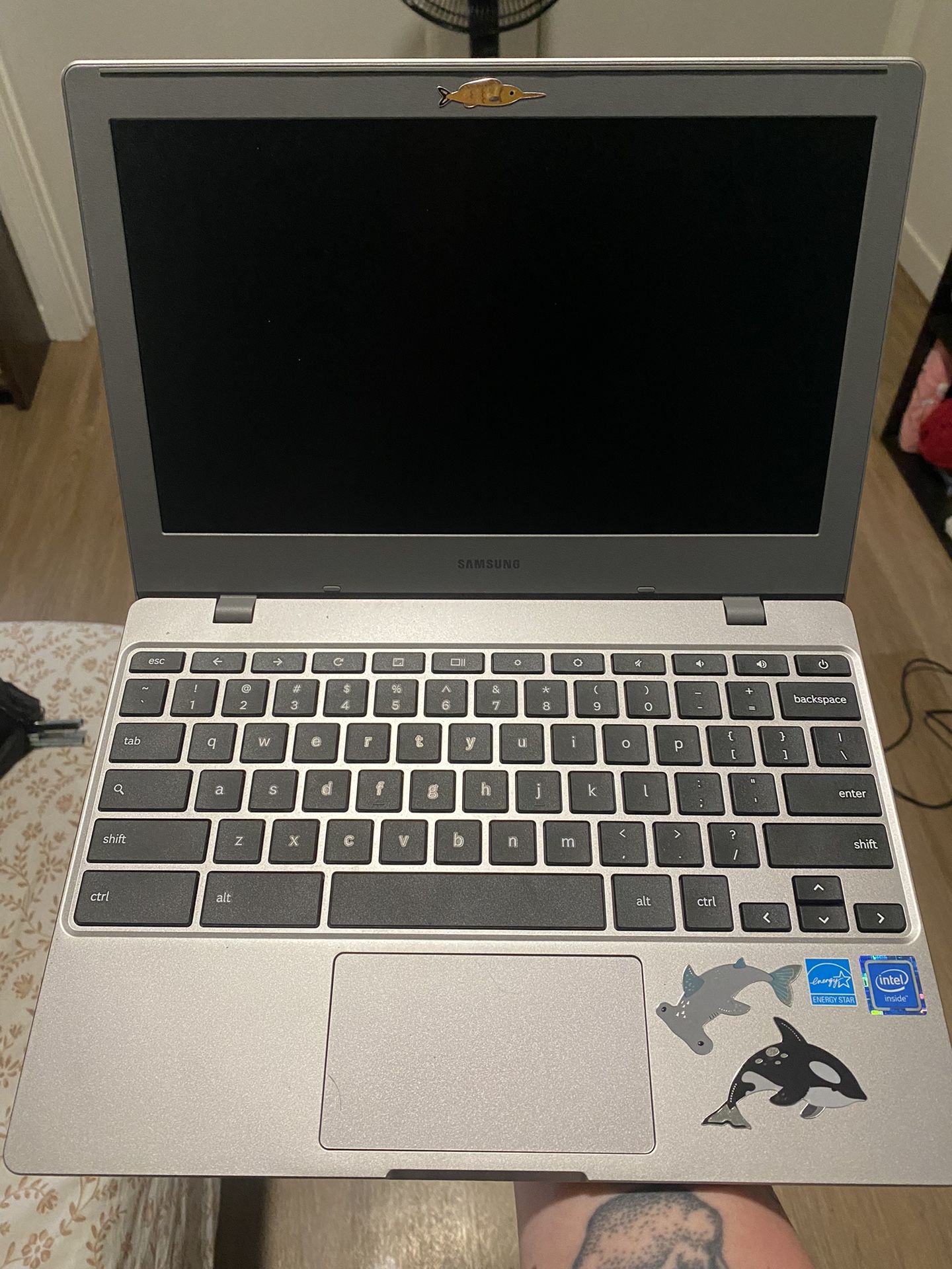 Samsung Chrome Laptop