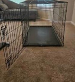 Free dog crate for large puppy or medium dog