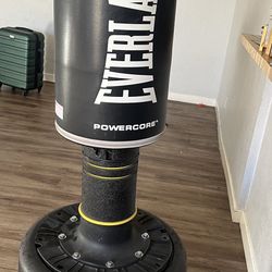 Everlast Punching Bag 