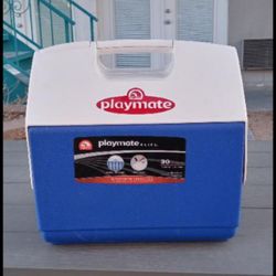 Big Igloo Playmate 16 Qt Holds 30 Cans Pickup Between 2:00-10:45 Rainbow/Charleston Cash Only Read Description First 