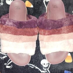 Shoe's 