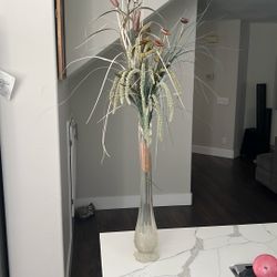 Plant Decor