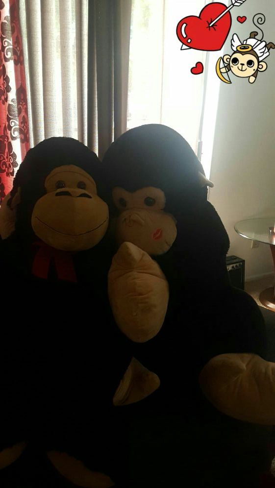Changos