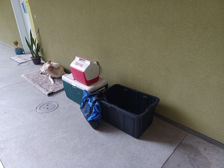 Coolers