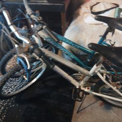 Road master Mountain Bike