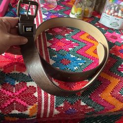 Cat Belt 