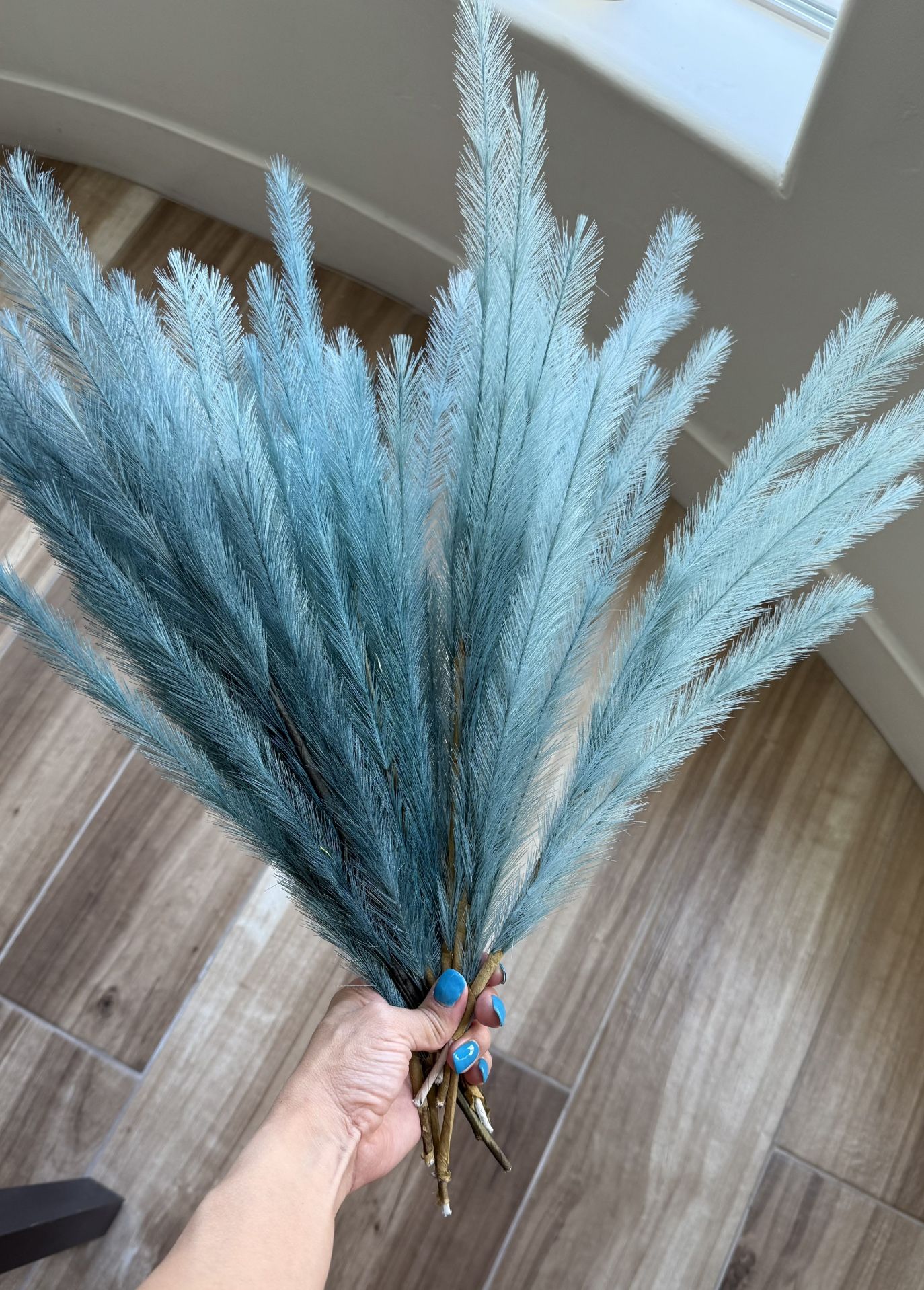 Blue Pampas Grass Bunch