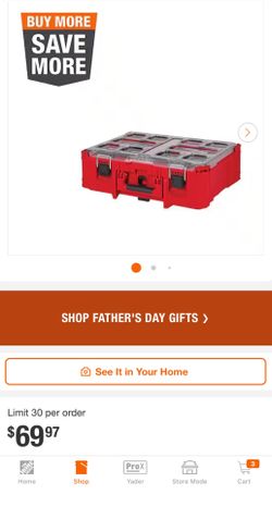 PACKOUT 20 in. Deep Small Parts Organizer