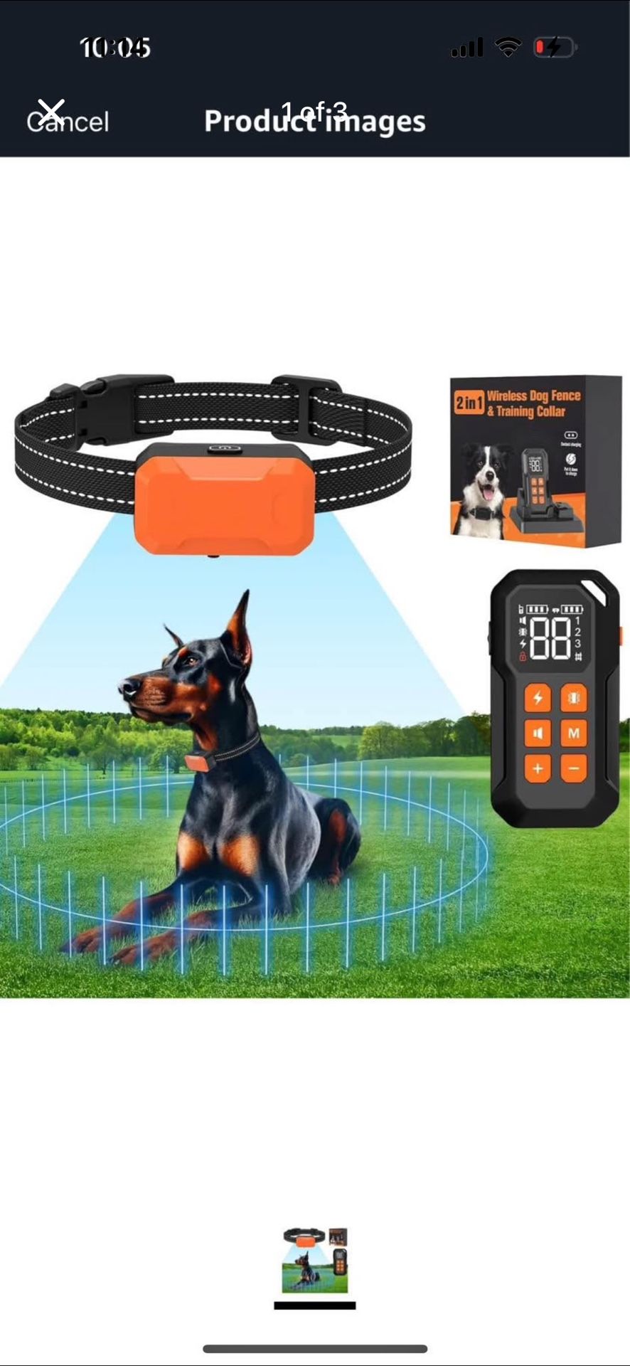 Dog Collar