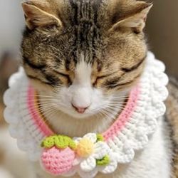 Adorable Dog or Cat Crochet or Lace Collars. OMG so cute!