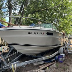 1975 SeaRay SRV220