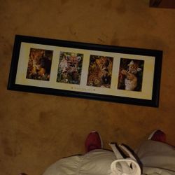 Little Big Cats Picture 3ft By 1 Ft