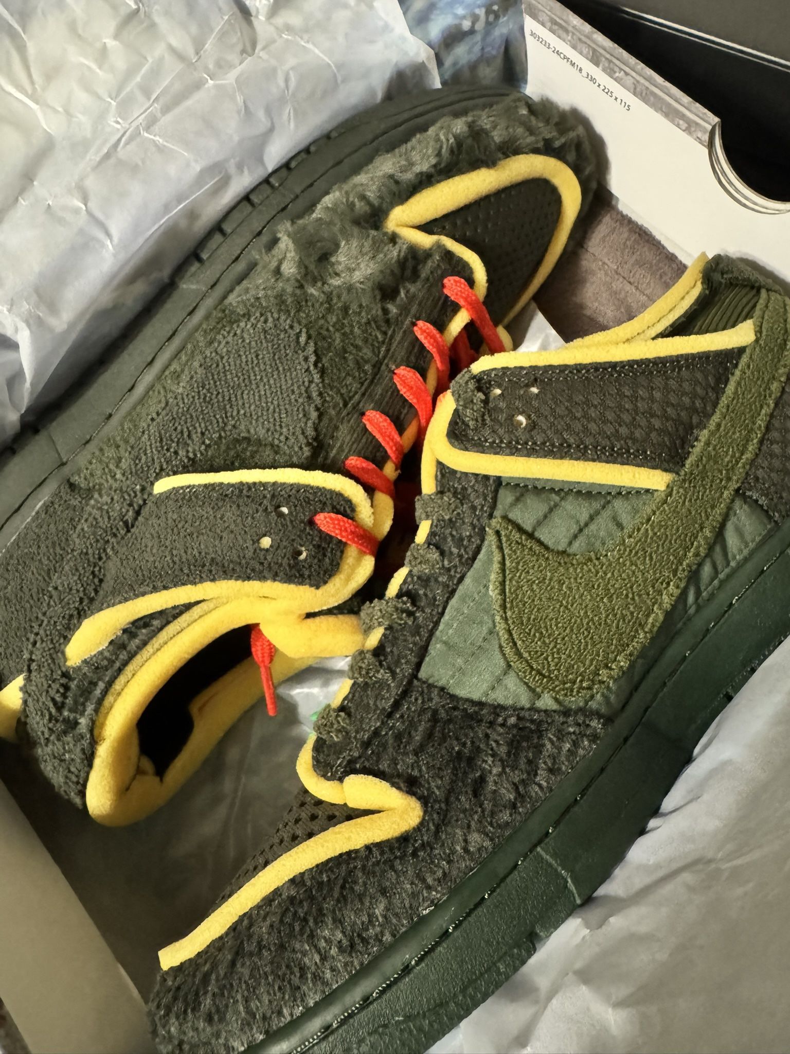 CPFM Nike Dunk Sequoia