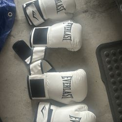 Everlast Boxing Gloves