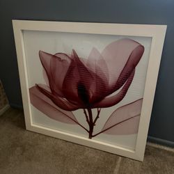 Z Gallerie Framed Art