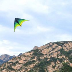 NEW Outdoor Toy Flying Kite