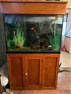 75gl fish tank, stand, water pump,filter/fish included