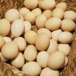 Organic, cage free eggs 🥚