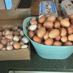 Farm Fresh Eggs