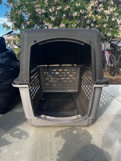 Dog Kennel