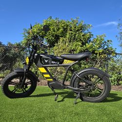 Bigniu Ebike BG03