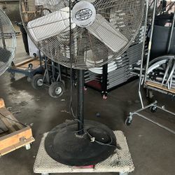 Fan 