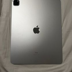 Apple Ipad Pro 