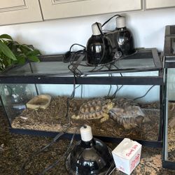 Tank 