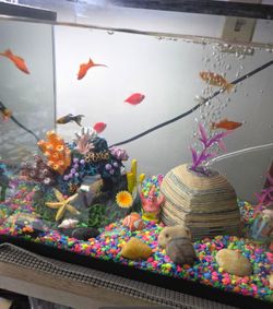fish tank