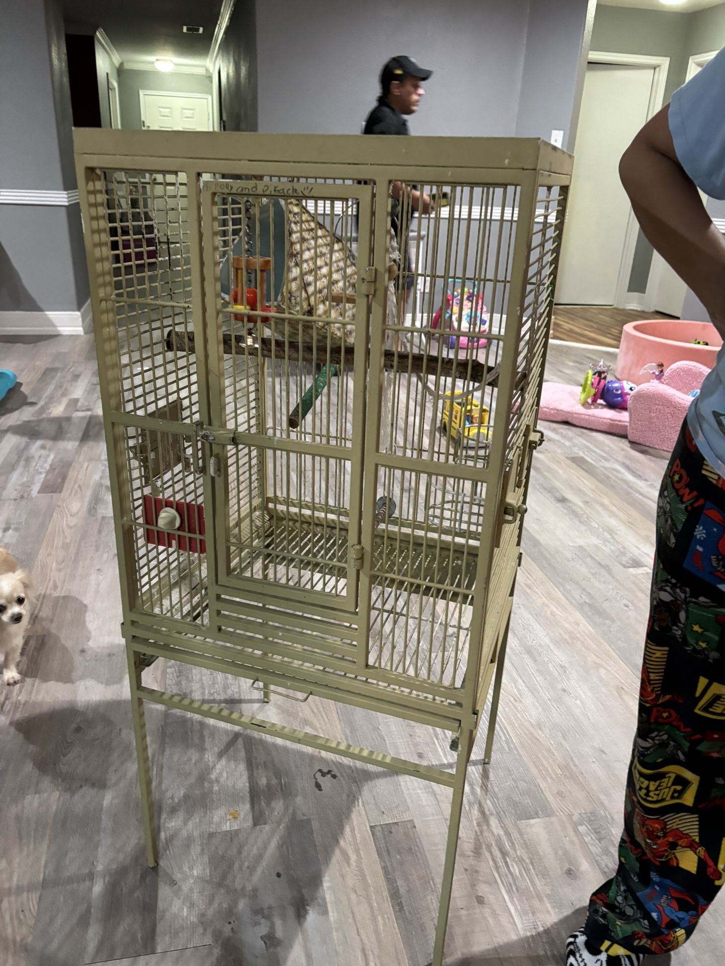 Bird Cage