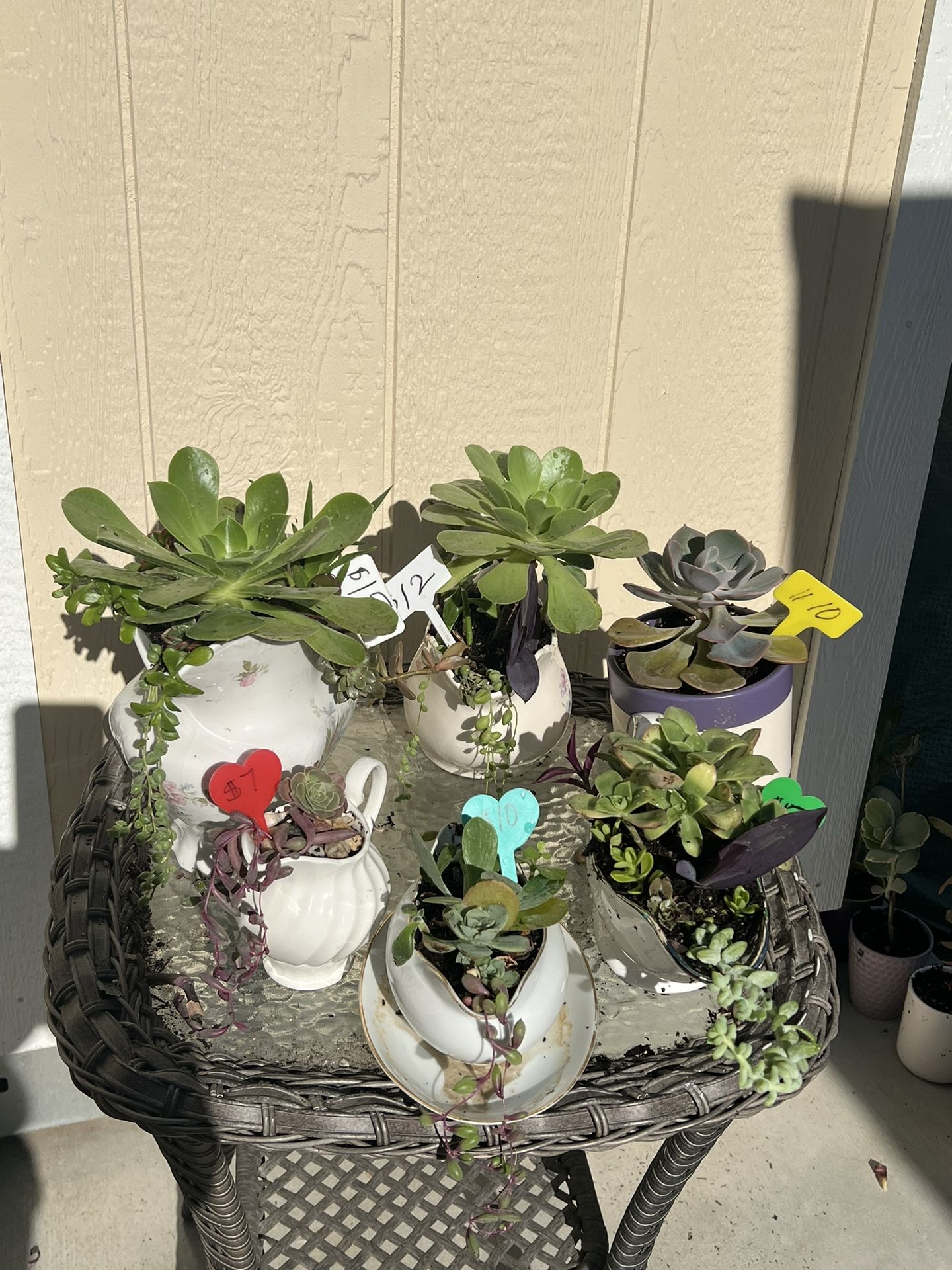 Cute Succulent Planters