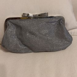 Silver Evening Bag