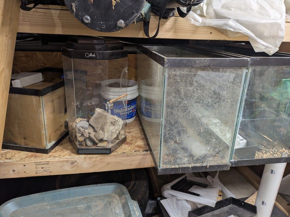 Various Terrariums Lot