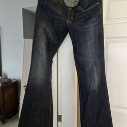 Adriano Goldschmied Low Rise Flare Jeans 29