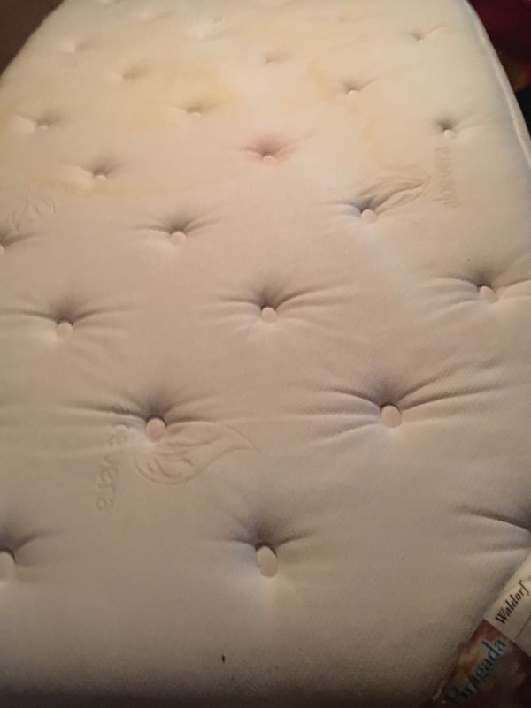 BRAGADA Aloe Vera Pillowflex Pillow Top Twin Mattresses -2 ...