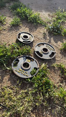 Olympic Weight Plates – 25 lbs Total (2” Hole – Gold’s Gym