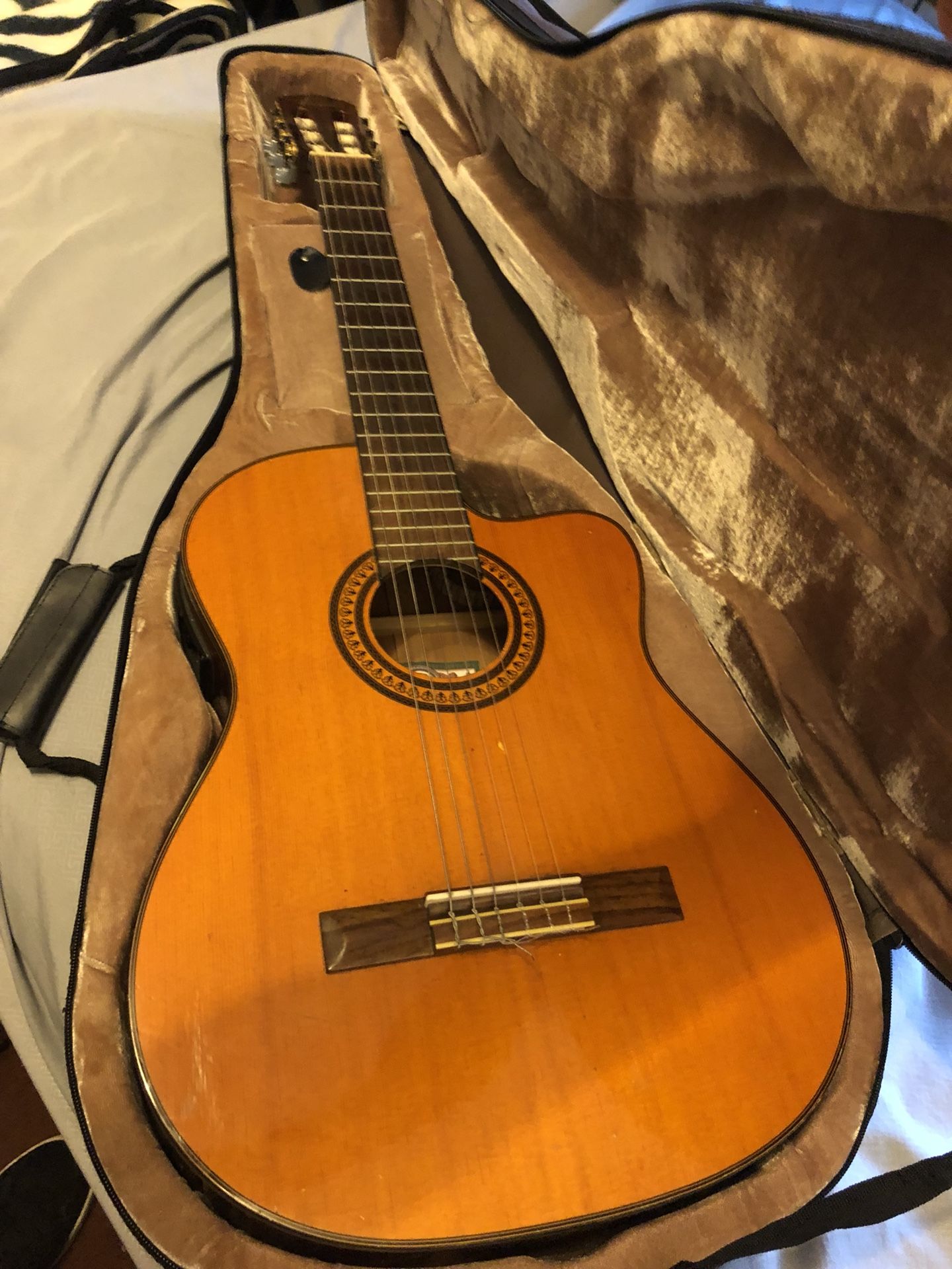 Oscar Schmidt nylon string guitar