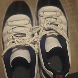 Jordan 11s Retro Low