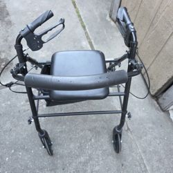 Seated Walker