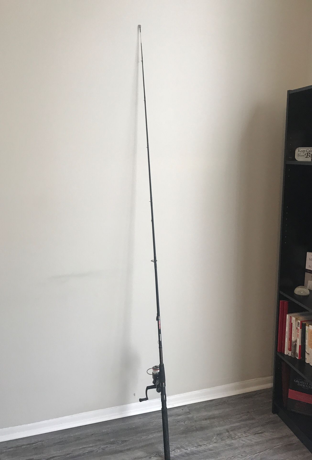 Ugly Stik GX2 fishing rod and reel combo