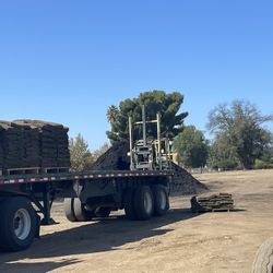 Fresh Sod $3 Per Sq/ Ft