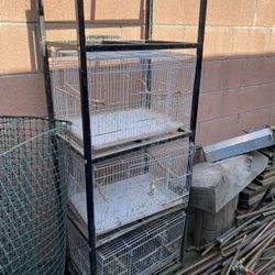 Five Bird Cages 