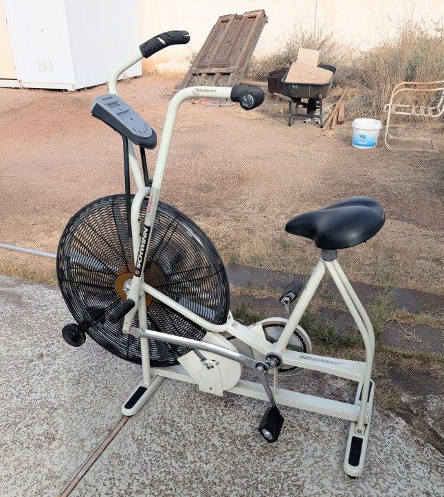 Schwinn Airdyne Exer Bike