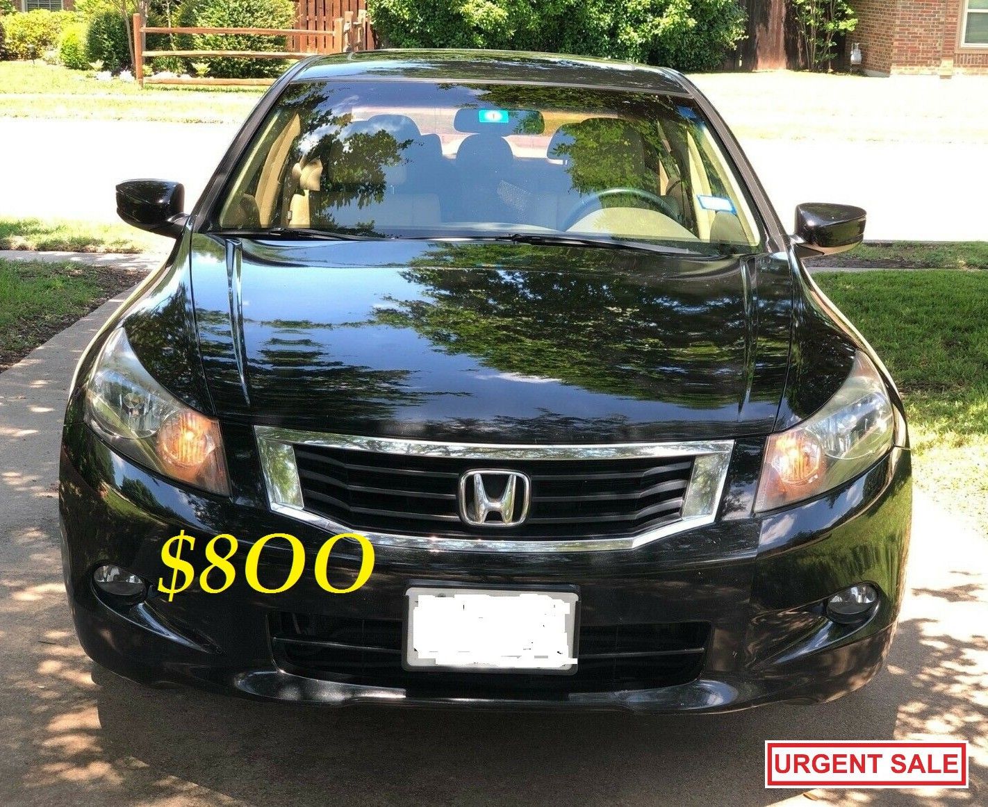 ๐๐$8OO URGENTLY I sell my family car 2OO9 Honda Accord EX-L Everything is working great! Runs great and fun to drive.๐๐