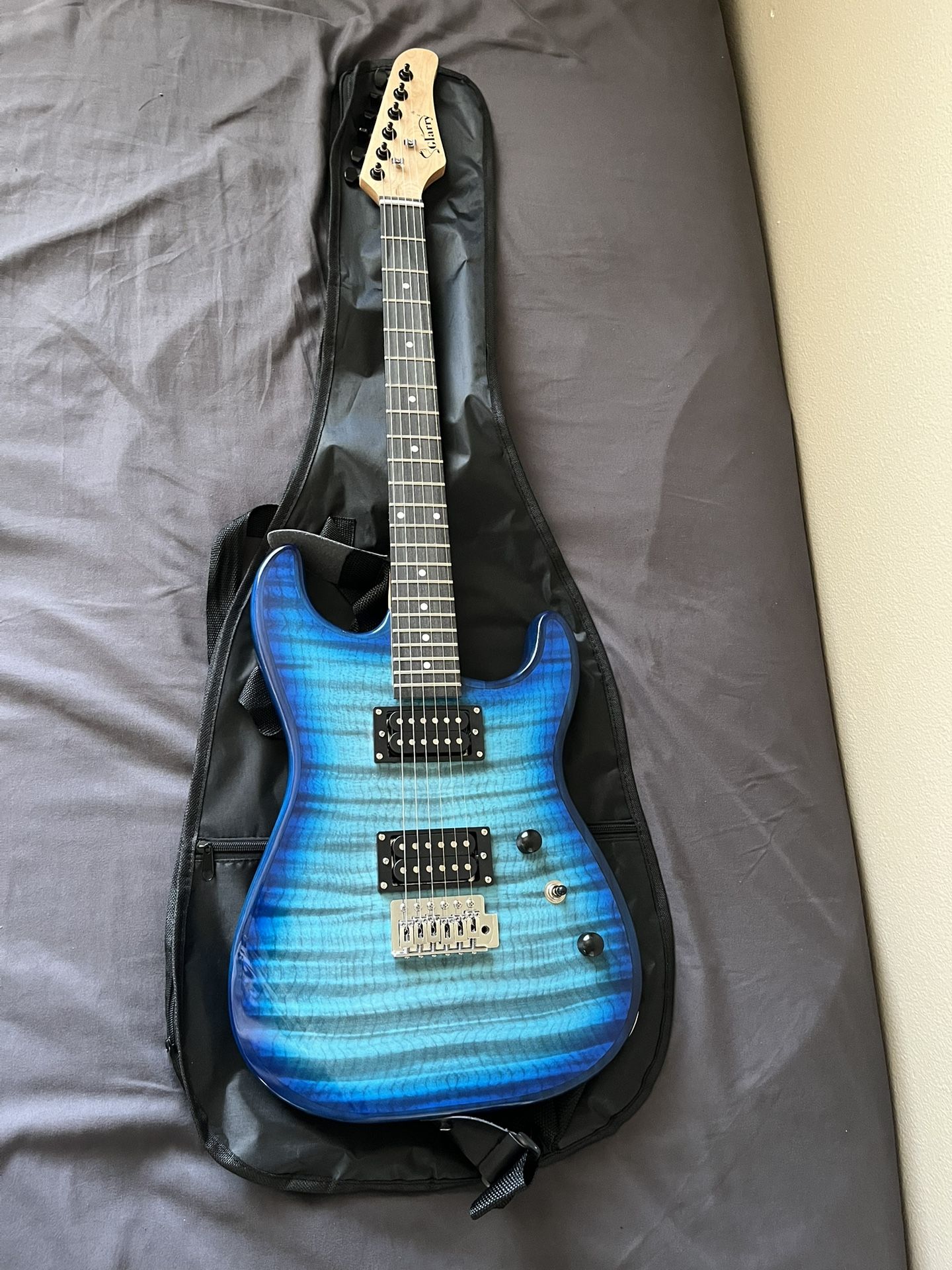 Electric Guitar