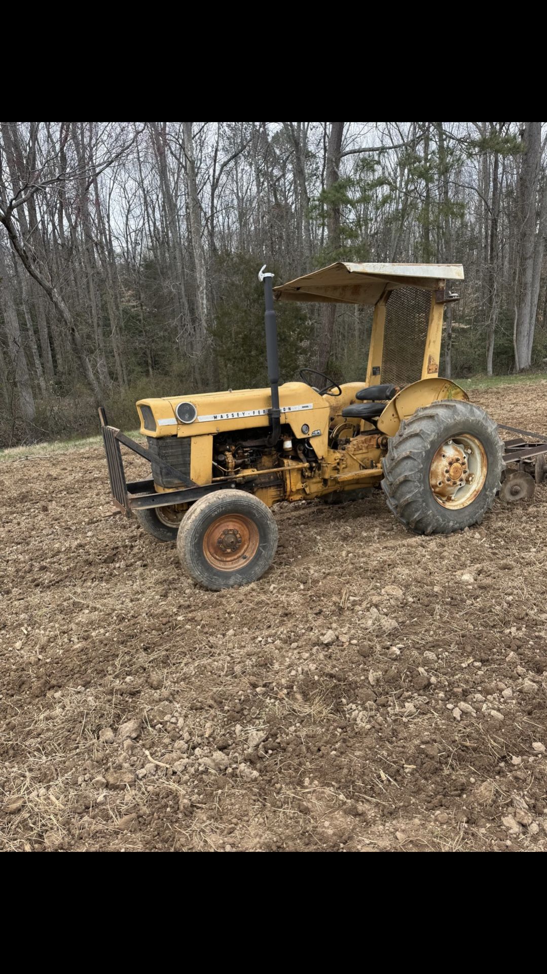 Massey Ferguson 3165