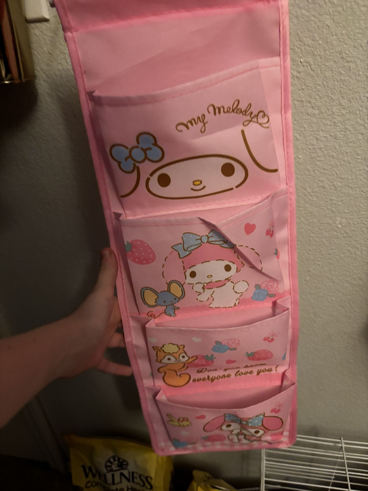 My Melody Storage Rack