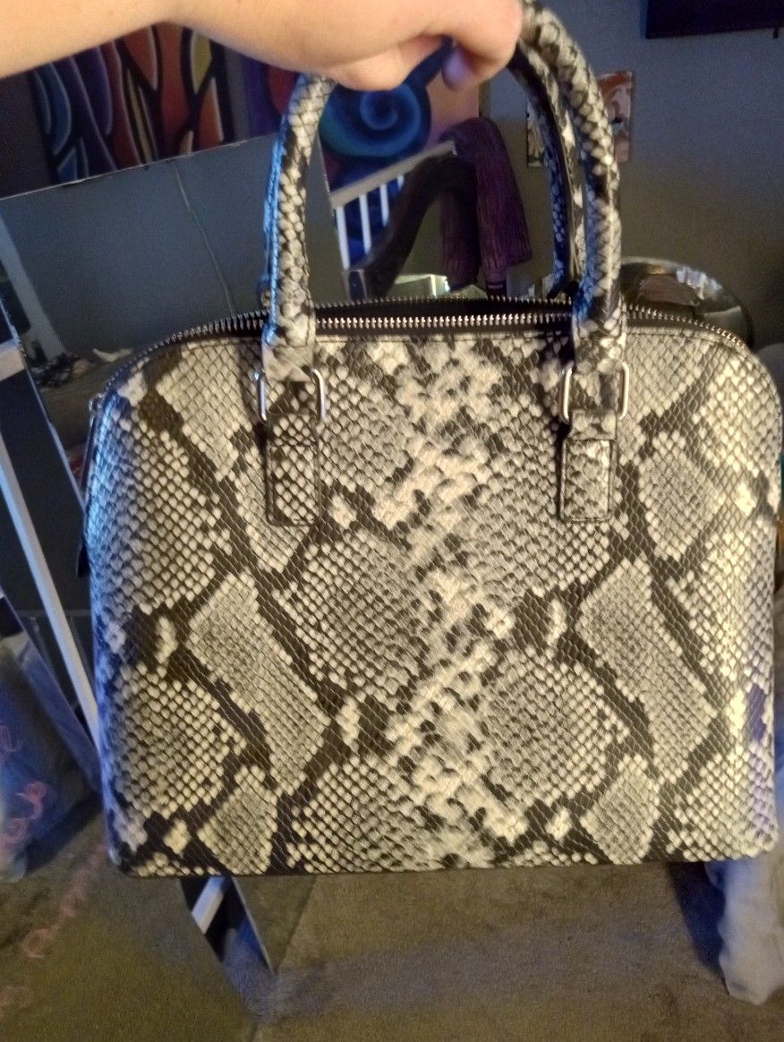 Snake Skin Purse