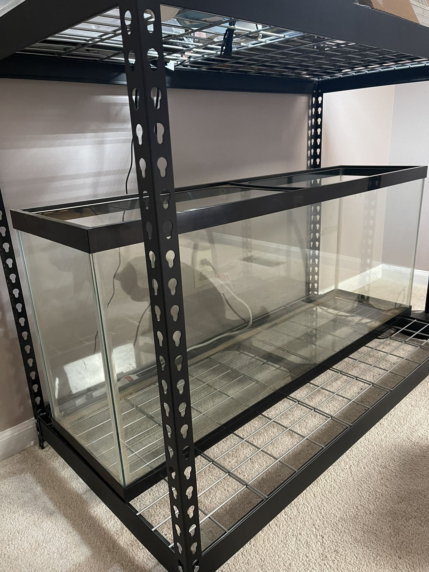 55 Gallon Tank