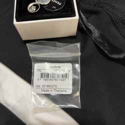 Pandora Charm 